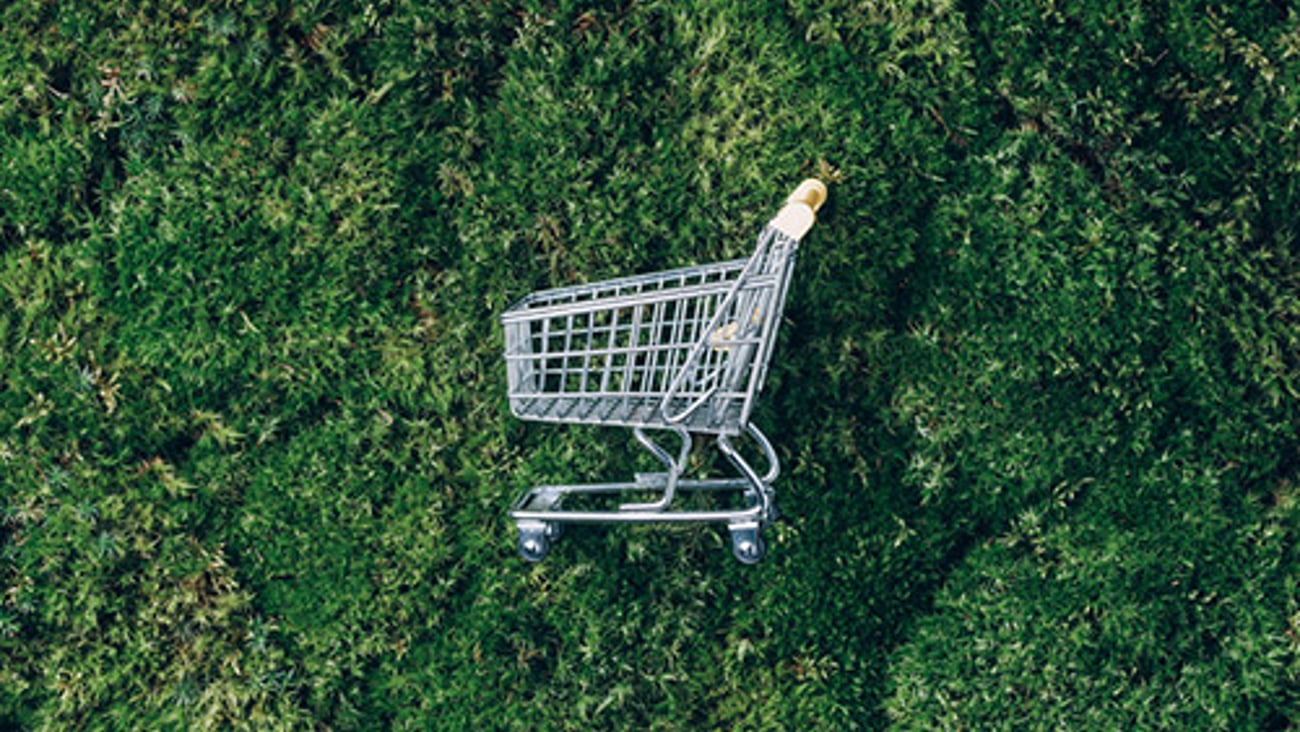 sustainable purchasing