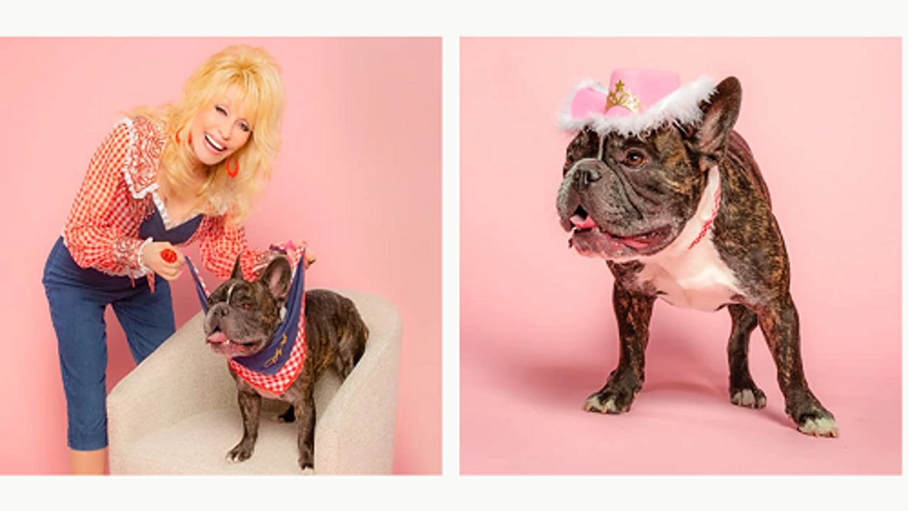 Dolly Parton pet day amazon