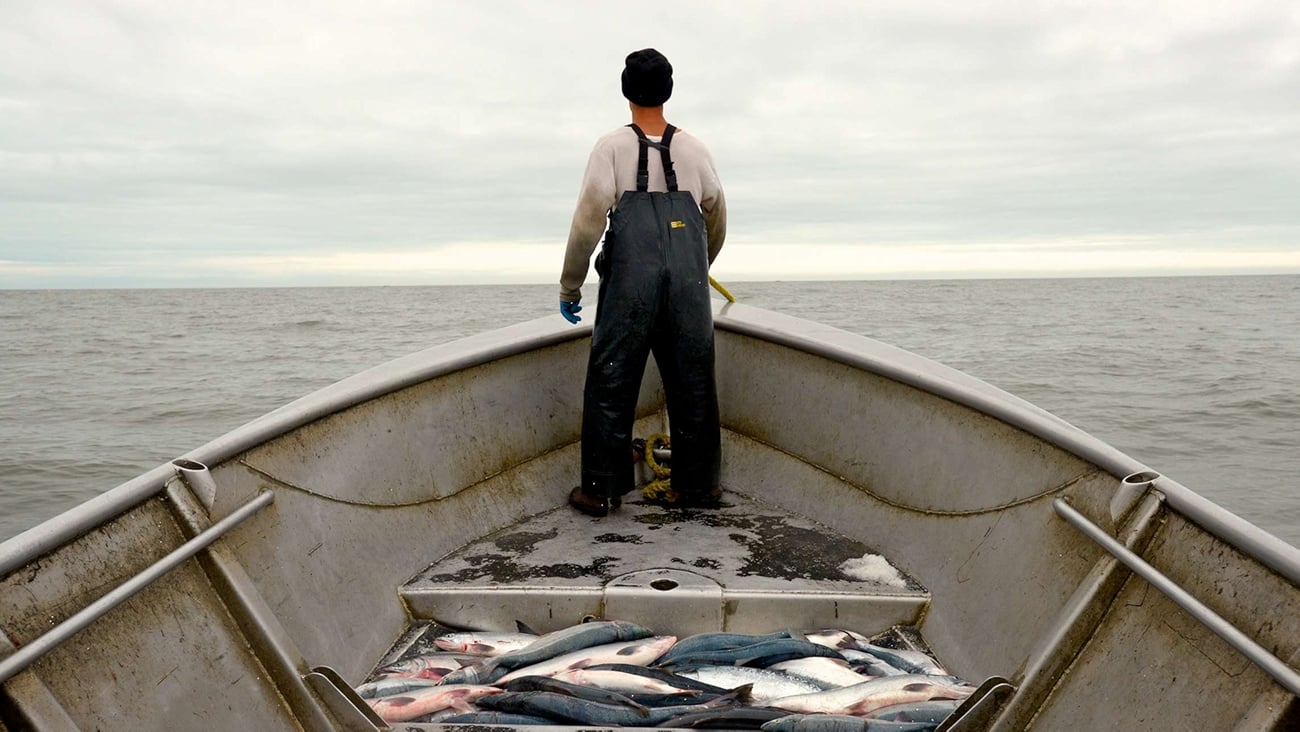 Whole Foods Market seafood code of conduct