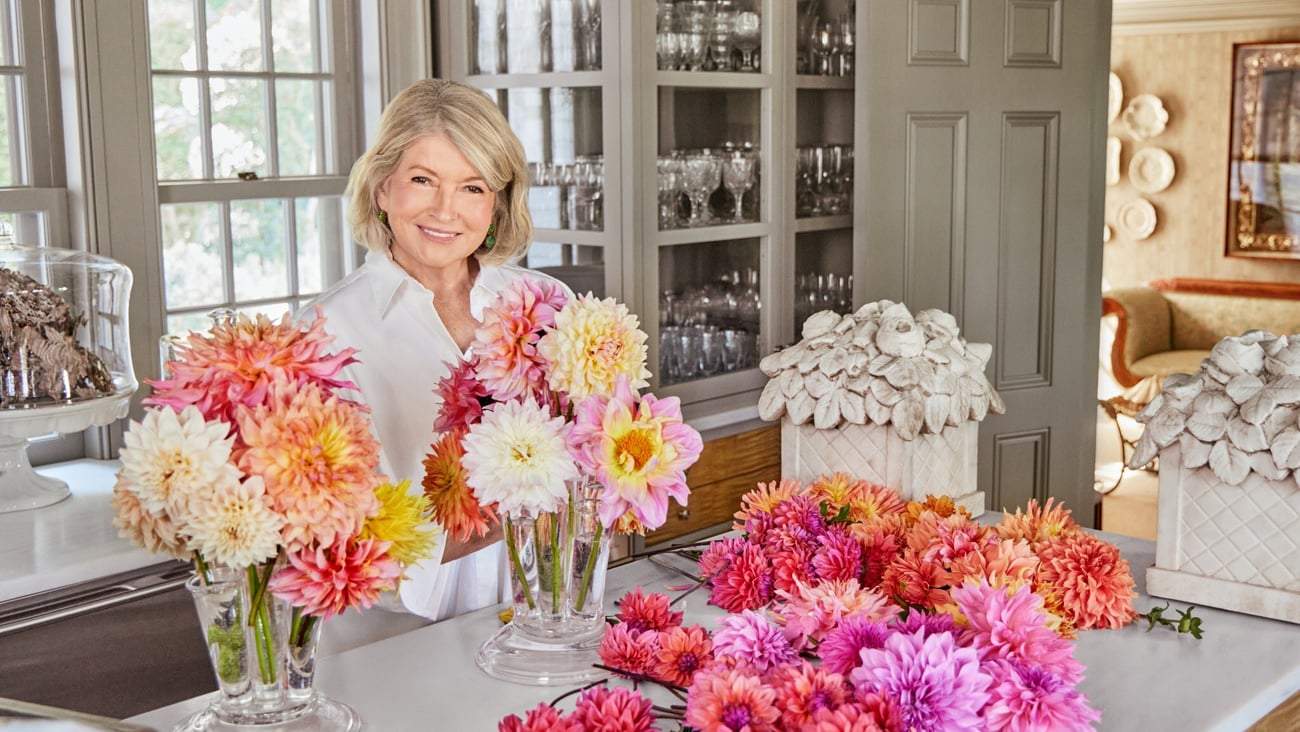 Martha Stewart QVC spring collection