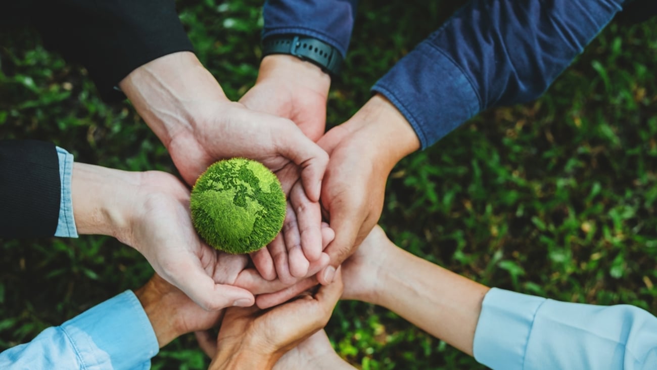 corporate sustainability
