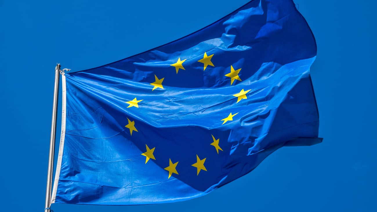 European Union flag (Image: Only Fabrizio)