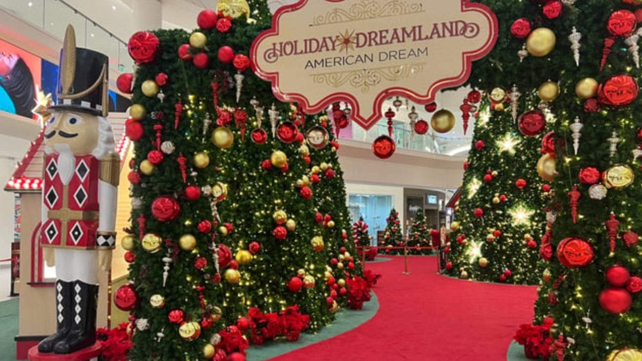 Xmas trees - AmDream