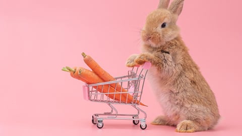 bunny with shopping cart