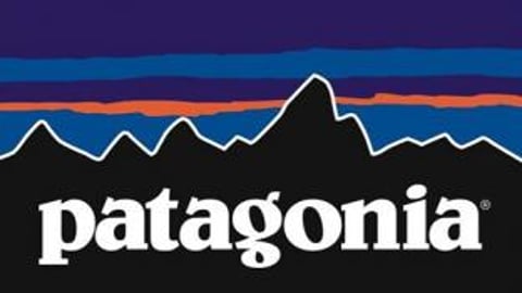 Patagonia logo