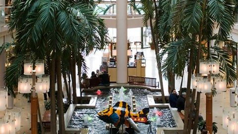 The Gallery at Harborplace