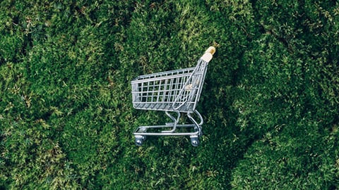 sustainable purchasing
