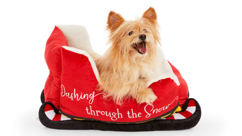 Petco dog bed