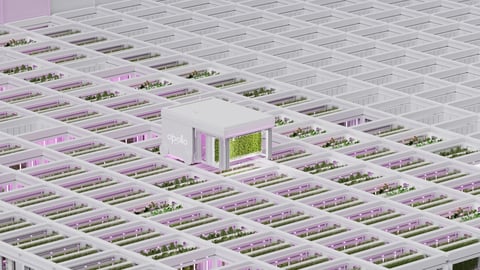 Opollo vertical farming solution
