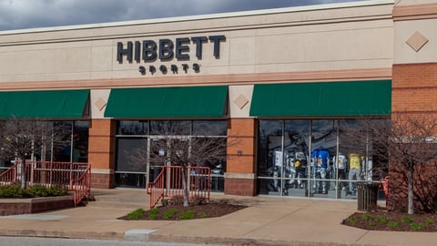 Hibbett
