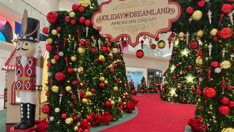 Xmas trees - AmDream