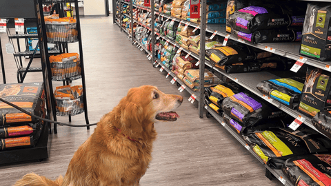 Pet Supplies Plus dog in store aisle