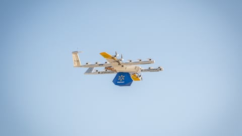 Walmart Wing delivery drone