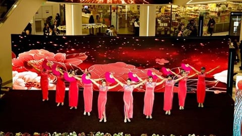 Lunar New Year -AmDream