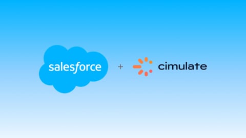 Salesforce - Cimulate