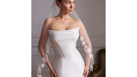 David's Bridal