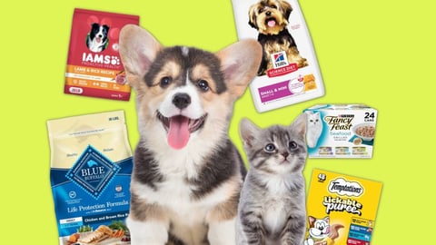 Amazon Pet Days