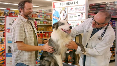 VIP Petcare