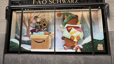 FAO Schwarz Amazon