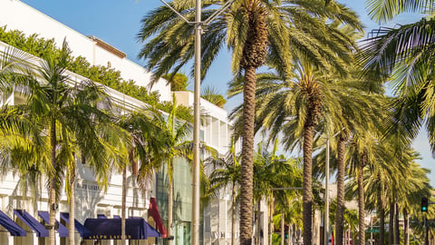 Los Angeles, California – September 26, 2017: Rodeo Drive, a Famous shopping district in Beverly Hills. ; Shutterstock ID 1185272545
