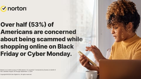 Norton online holiday scams