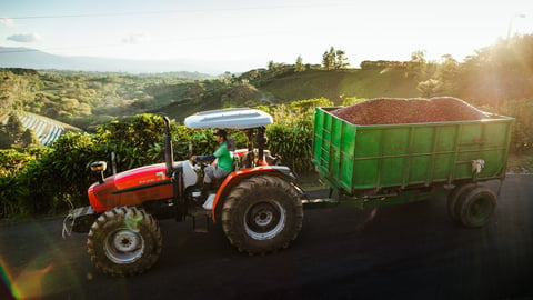 The Starbucks Hacienda Alsacia coffee farm.