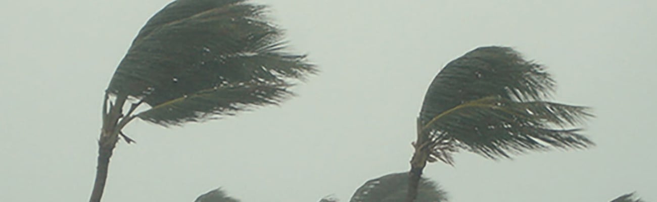 tropical storm