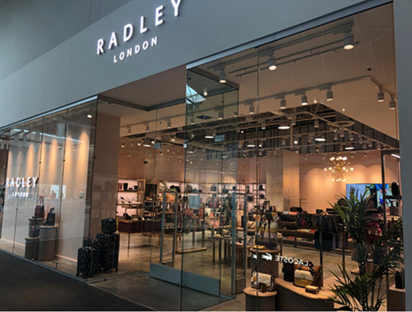 Radley london shop sale