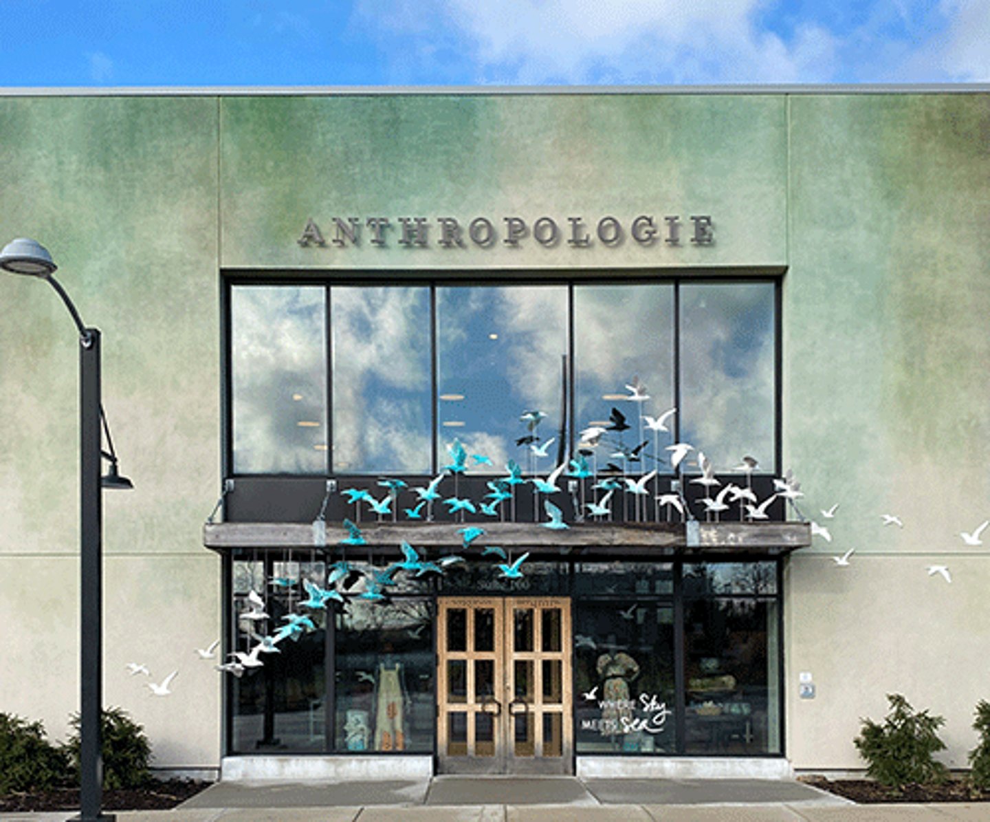 anthropologie