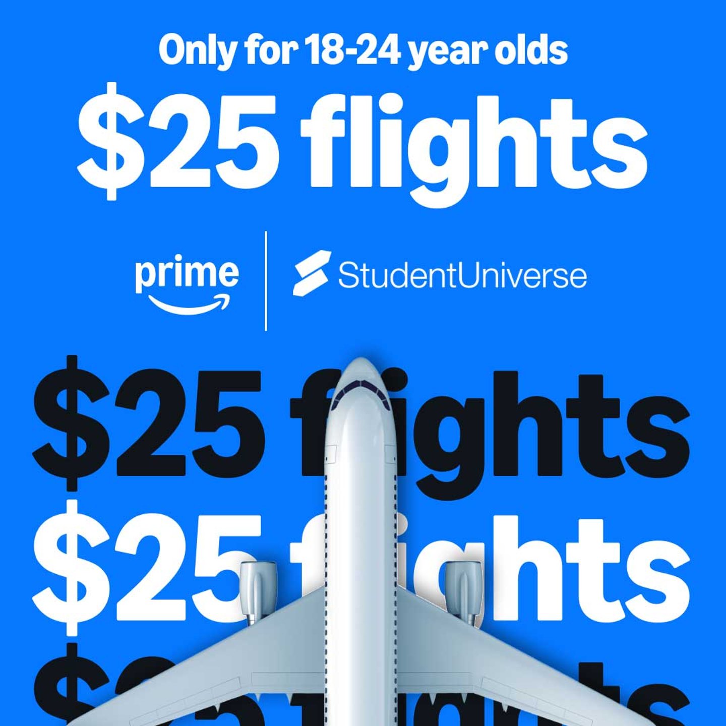 Amazon discount holiday flights