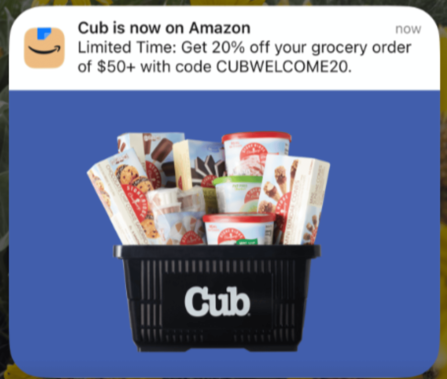 Amazon - Cub delivery