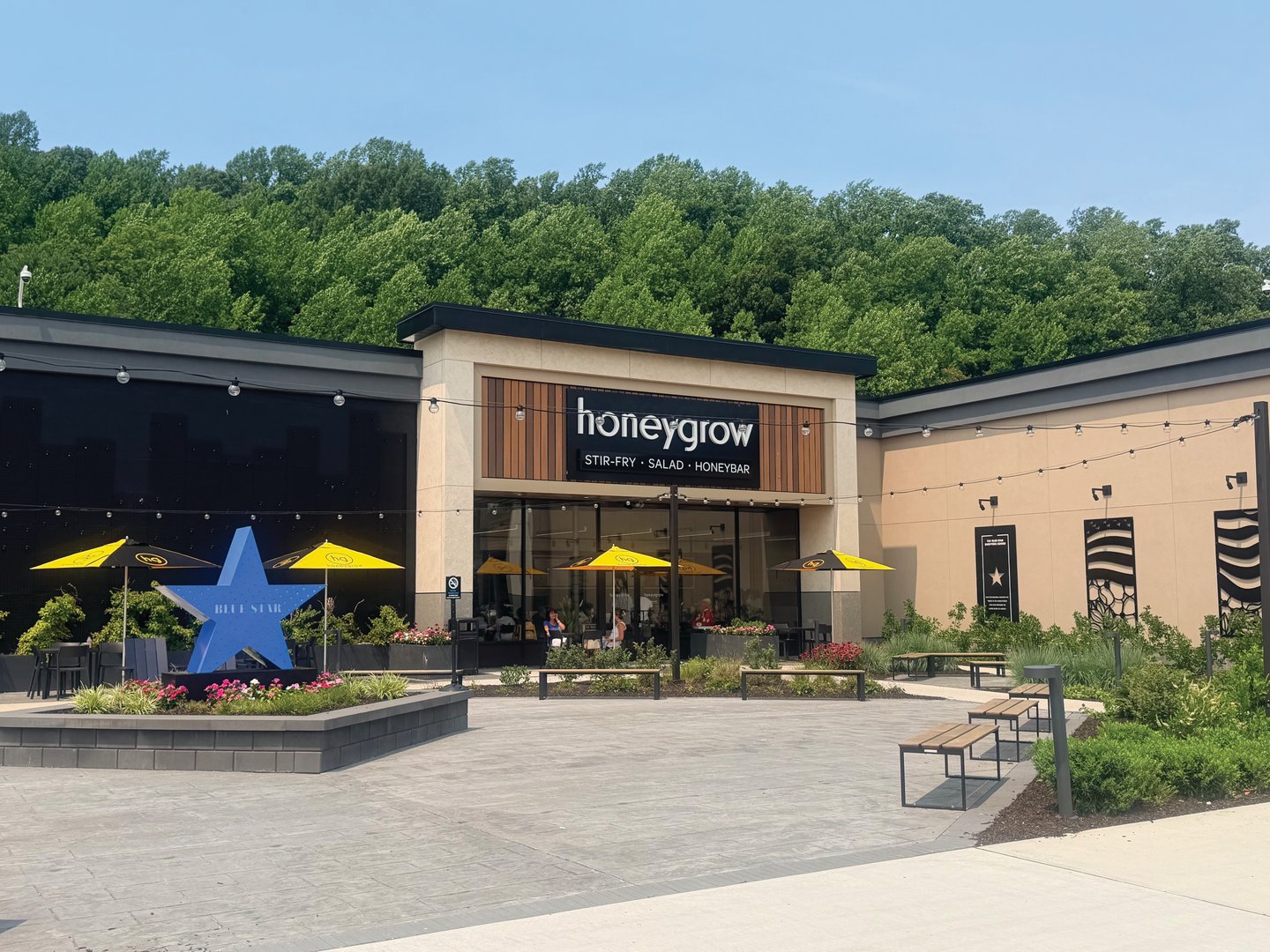 Blue Star Shopping Center