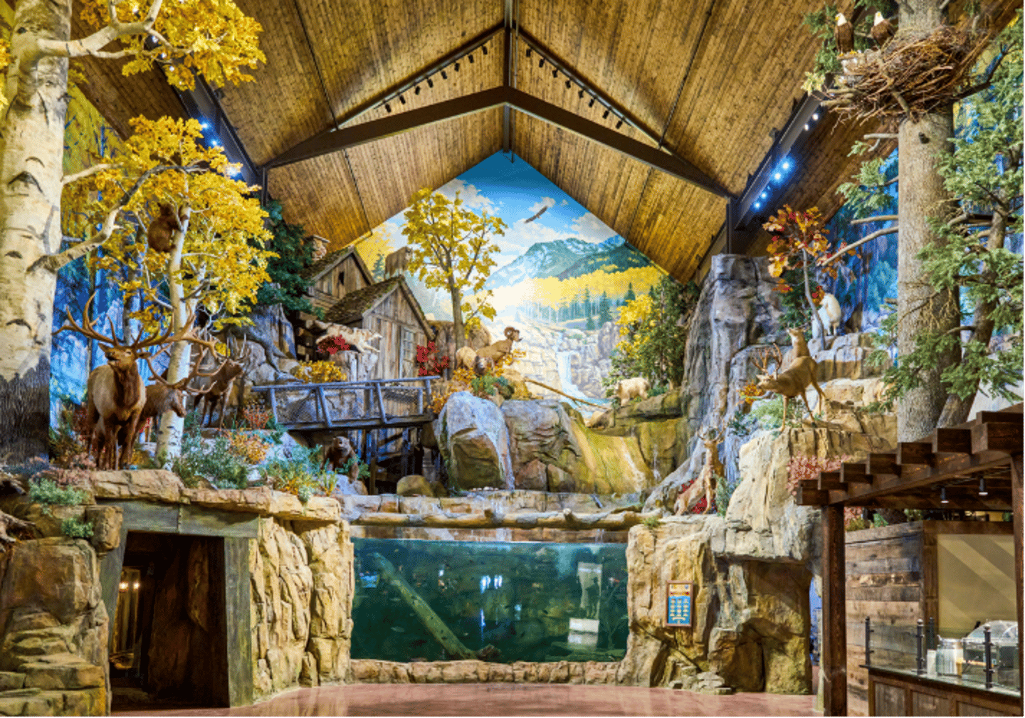 Bass Pro Shops