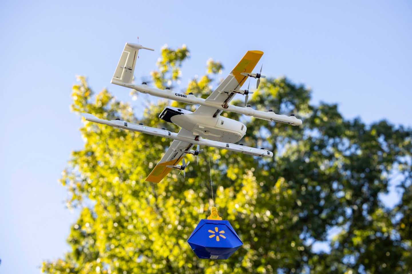 Walmart Wing drone