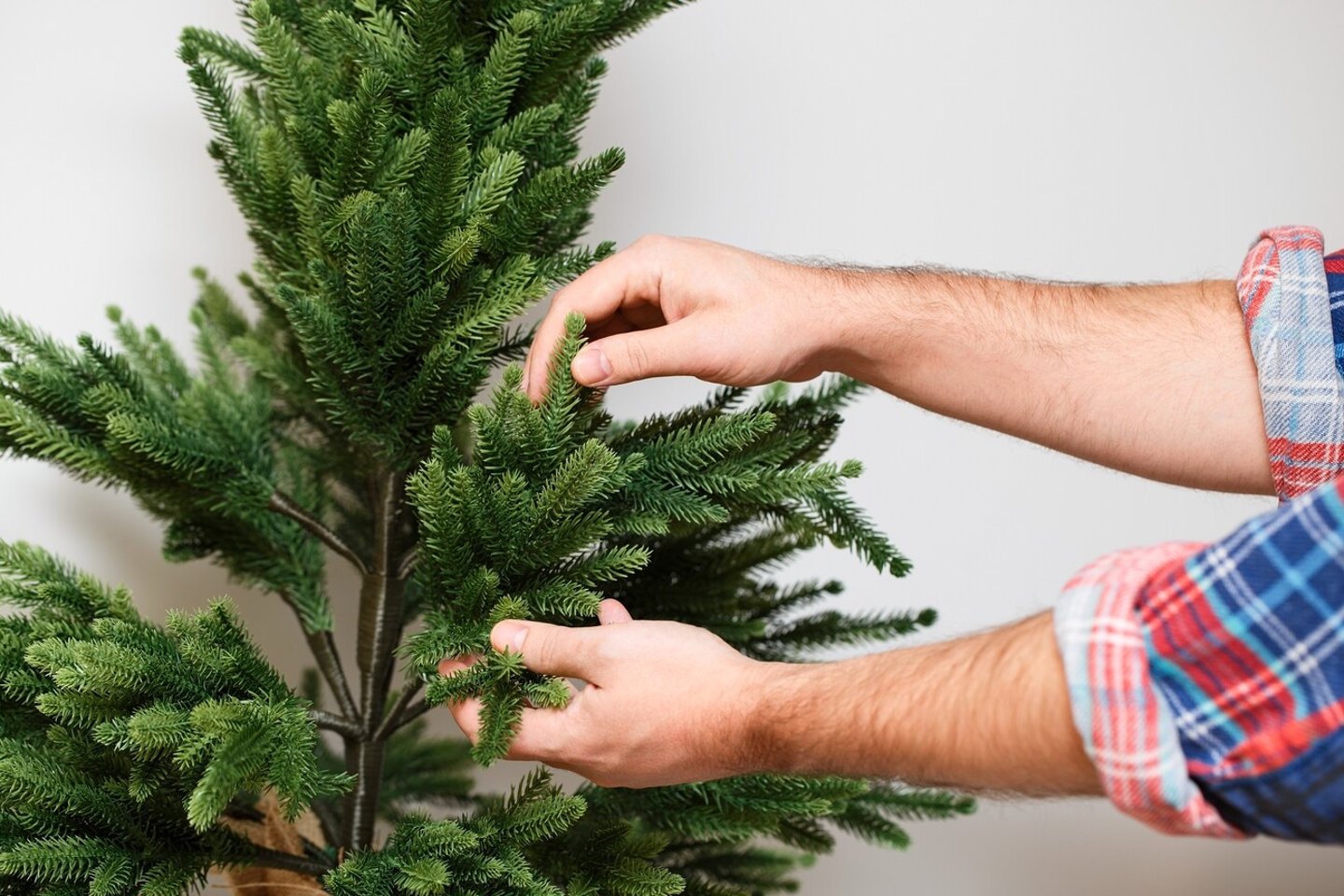 Christmas preparations for the holiday. Artificial decorative spruce at home. Men's hands adjust the branches of the tree.; Shutterstock ID 2179062769