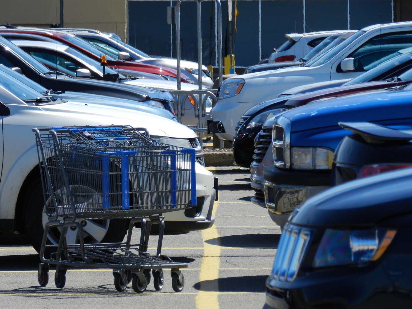 Shopping cart on a parking lot with cars; Shutterstock ID 622783607