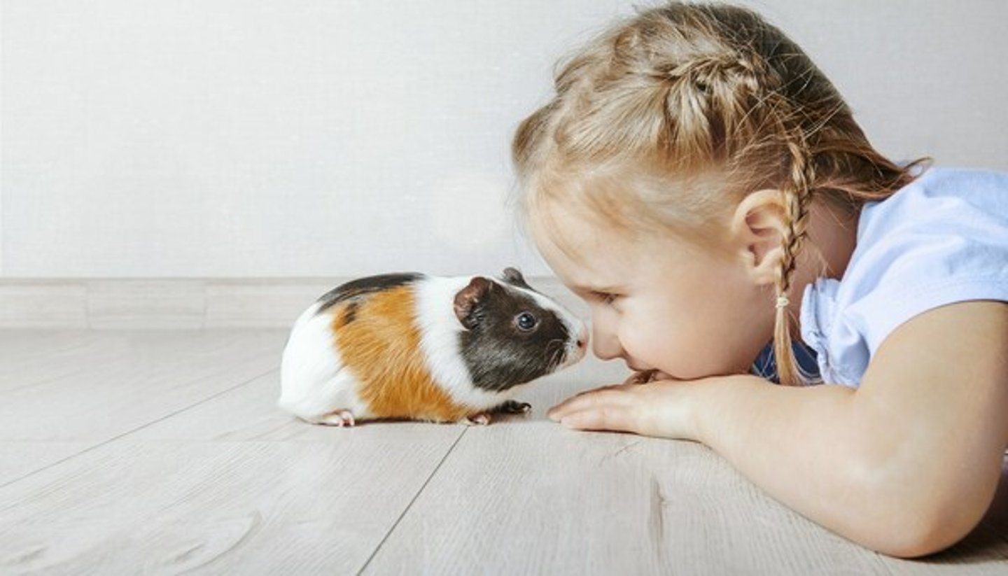 PetSmat girl with hamster (Credit: PetSmart)