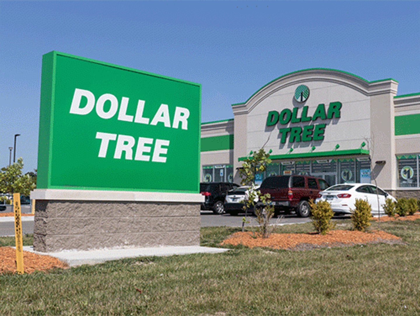 Dollar Tree 