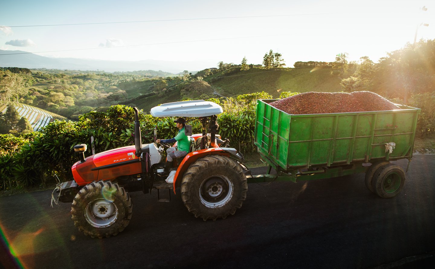 The Starbucks Hacienda Alsacia coffee farm.