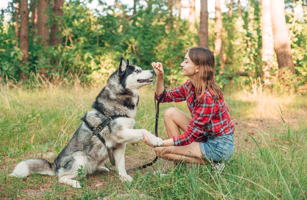Gen Z pet owner