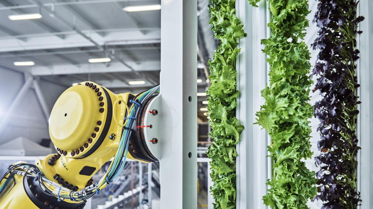 Walmart is the first large U.S. retailer to significantly invest in vertical farming.