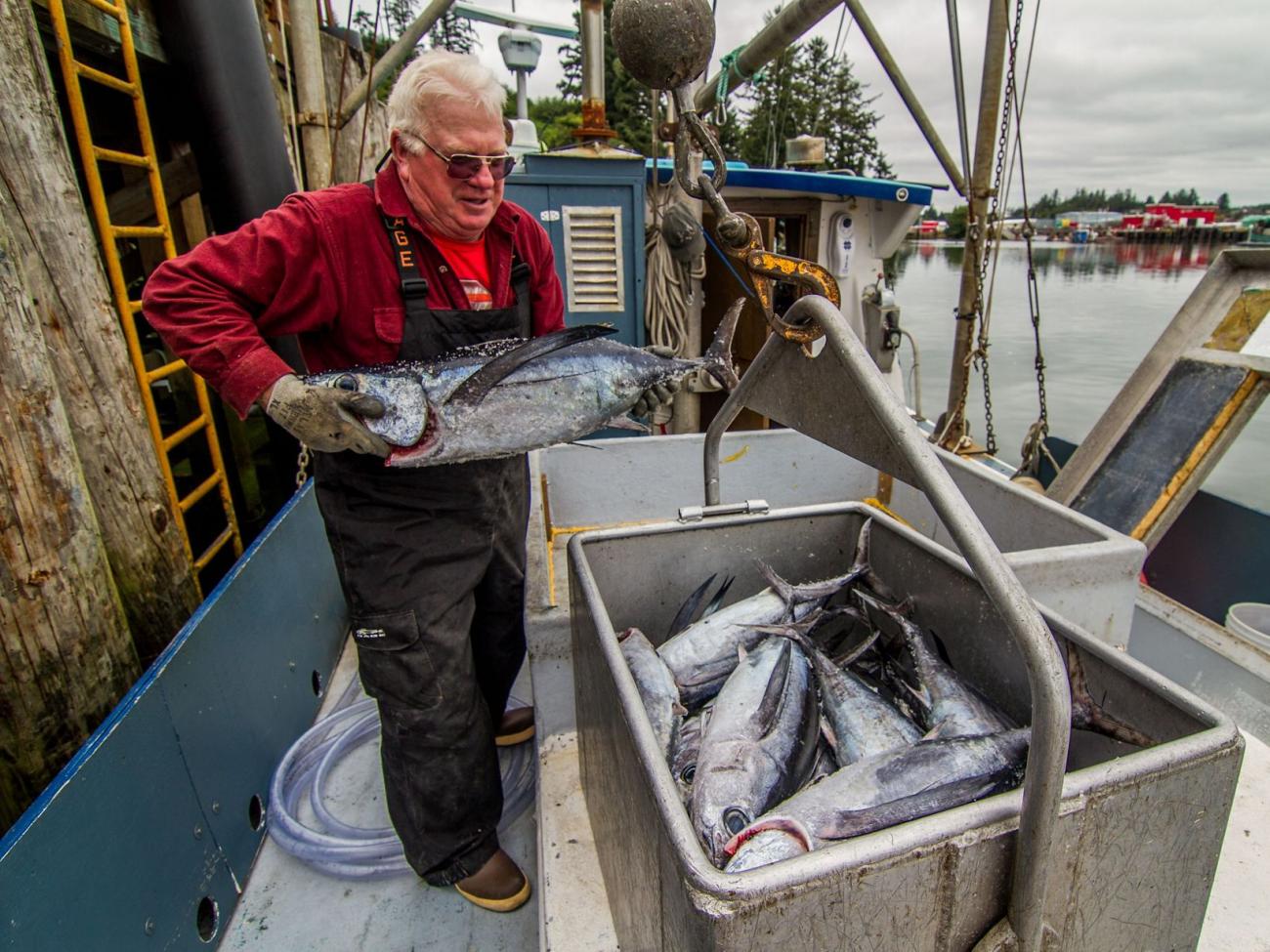 Sustainable tuna fishing (Photo: TNC)