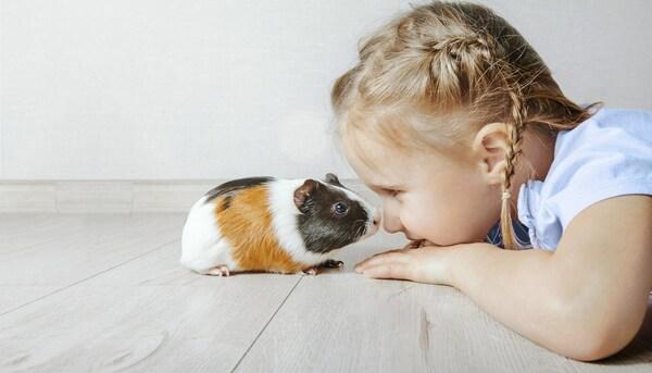 PetSmat girl with hamster (Credit: PetSmart)