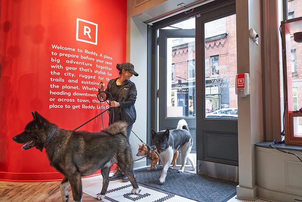 First Look Petco opens new experiential Reddy store concept in