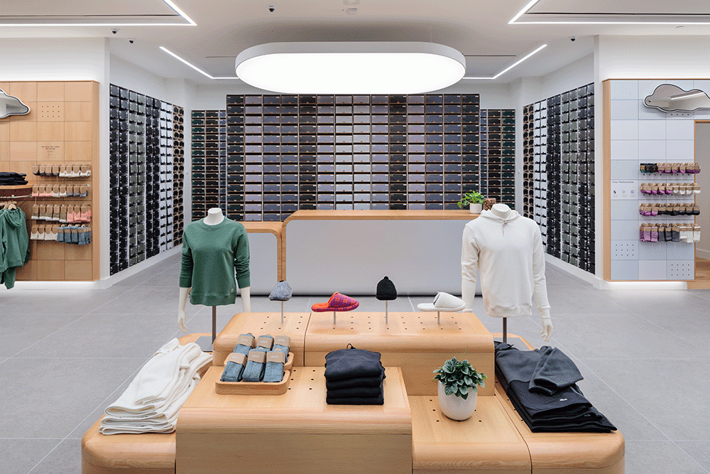 All birds boston store on sale