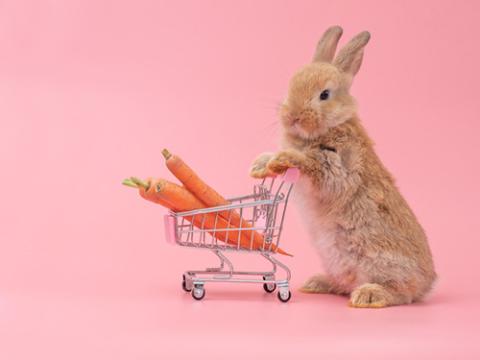 bunny with shopping cart