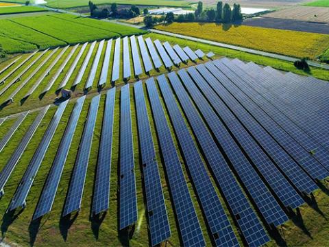 Meijer-Renewable