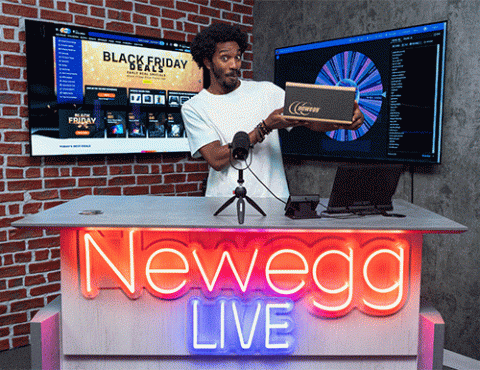 newegg black friday