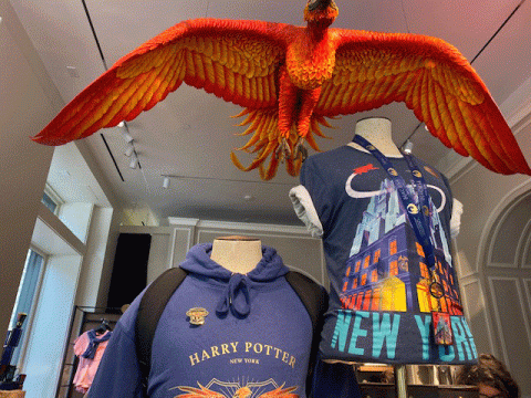 Harry Potter