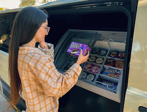 mobile ice cream stores
